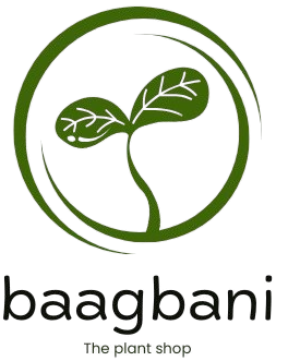 Plants E-commerce